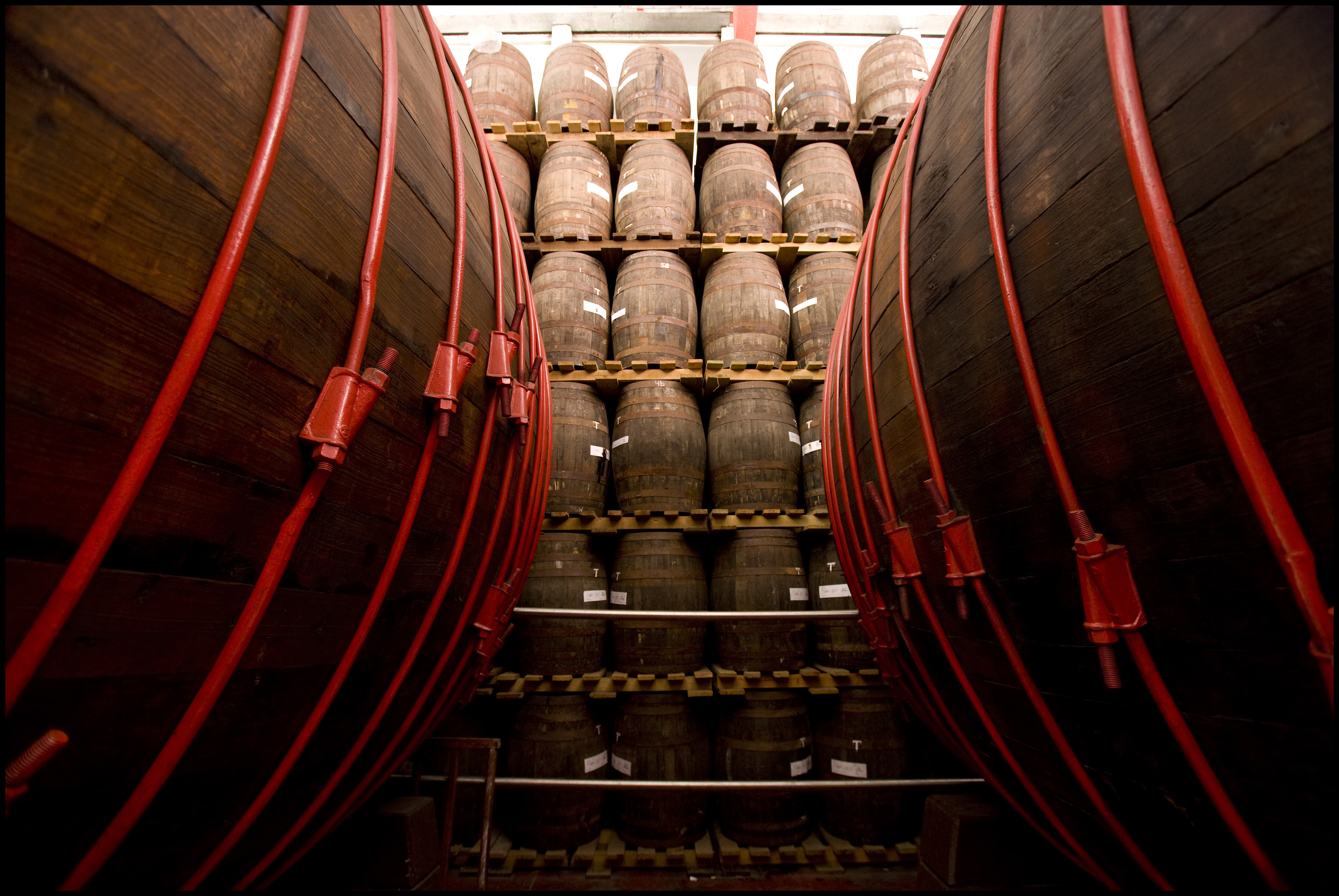 distillerie Zacapa