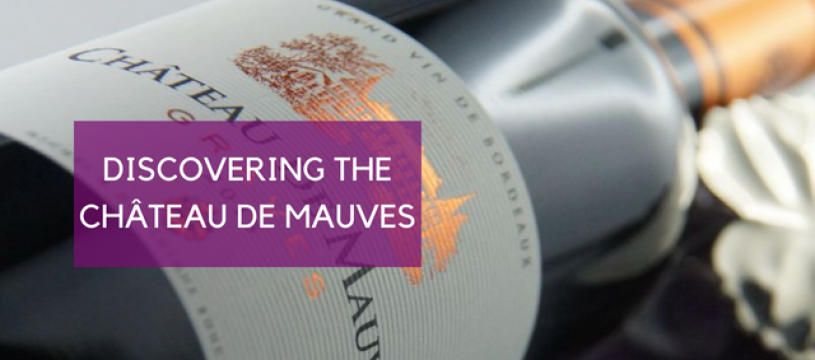 Discovering the Château de Mauves 