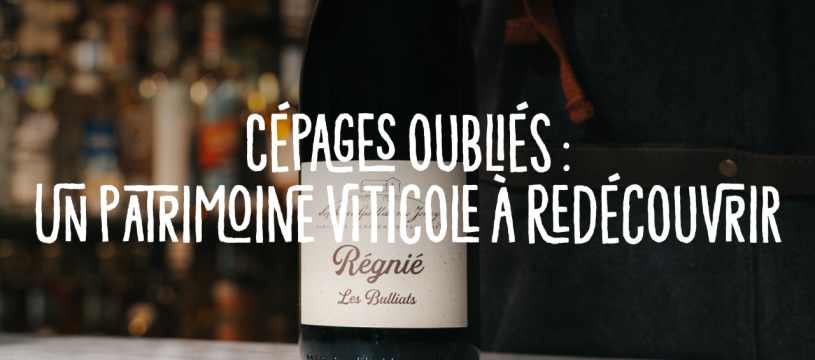 Cépages oubliés : un patrimoine viticole à redécouvrir