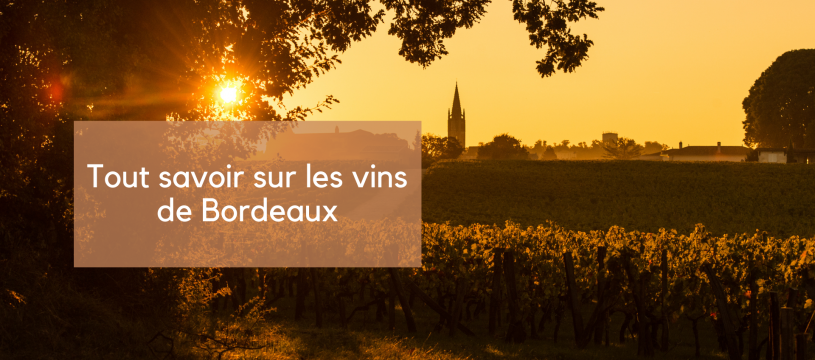 All about Bordeaux wines 