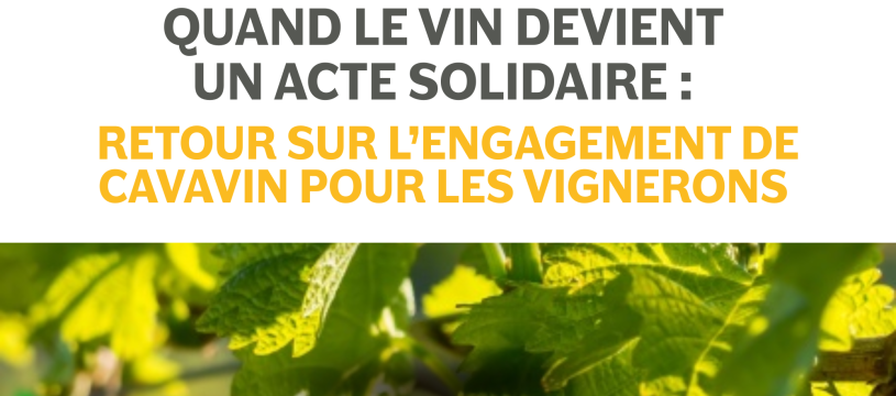Soutenir les vignerons, bouteille après bouteille : CAVAVIN engagé avec Vendanges Solidaires