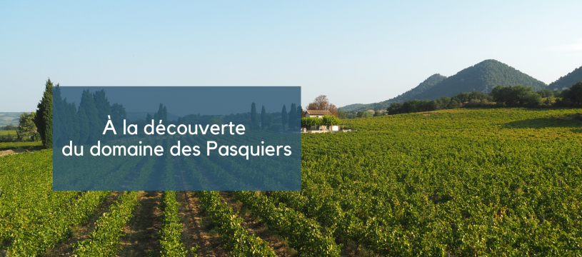 À la découverte du Domaine des Pasquiers 