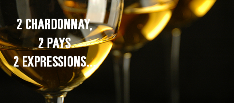 2 Chardonnay, 2 Pays, 2 expressions...