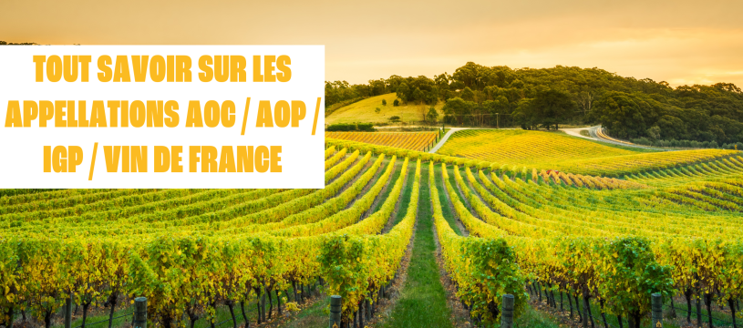 Tout savoir sur les appellations AOC / AOP / IGP / Vin de France