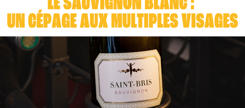 Le Sauvignon blanc : un cépage aux multiples visages