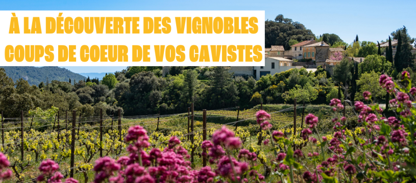 À la découverte des vignobles coups de coeur de vos cavistes