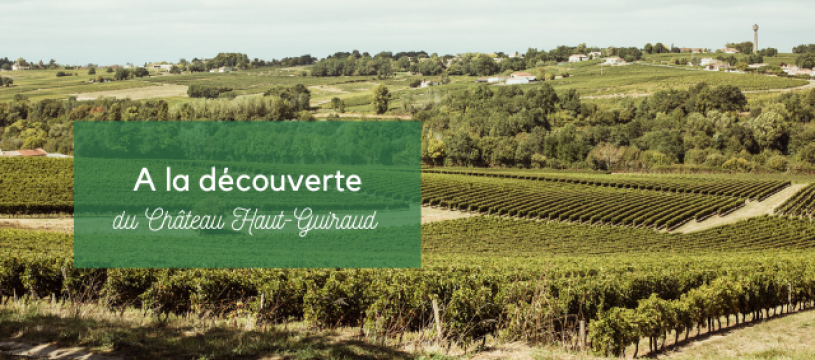 Discovering Château Haut Guiraud