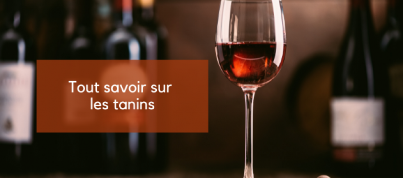 TOUT SAVOIR SUR LES TANINS