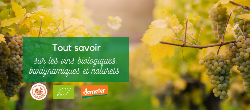 Tout savoir sur les vins biologiques, biodynamiques et naturels 