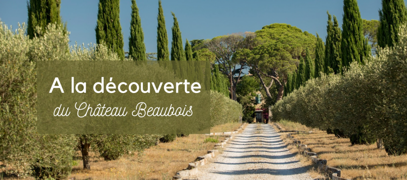 Discovering Château Beaubois