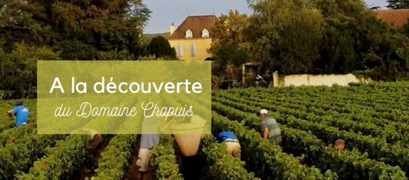 A la découverte du Domaine Chapuis