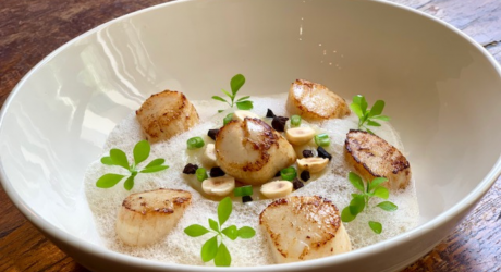 Scallops, chicory foam & Jerusalem artichoke puree